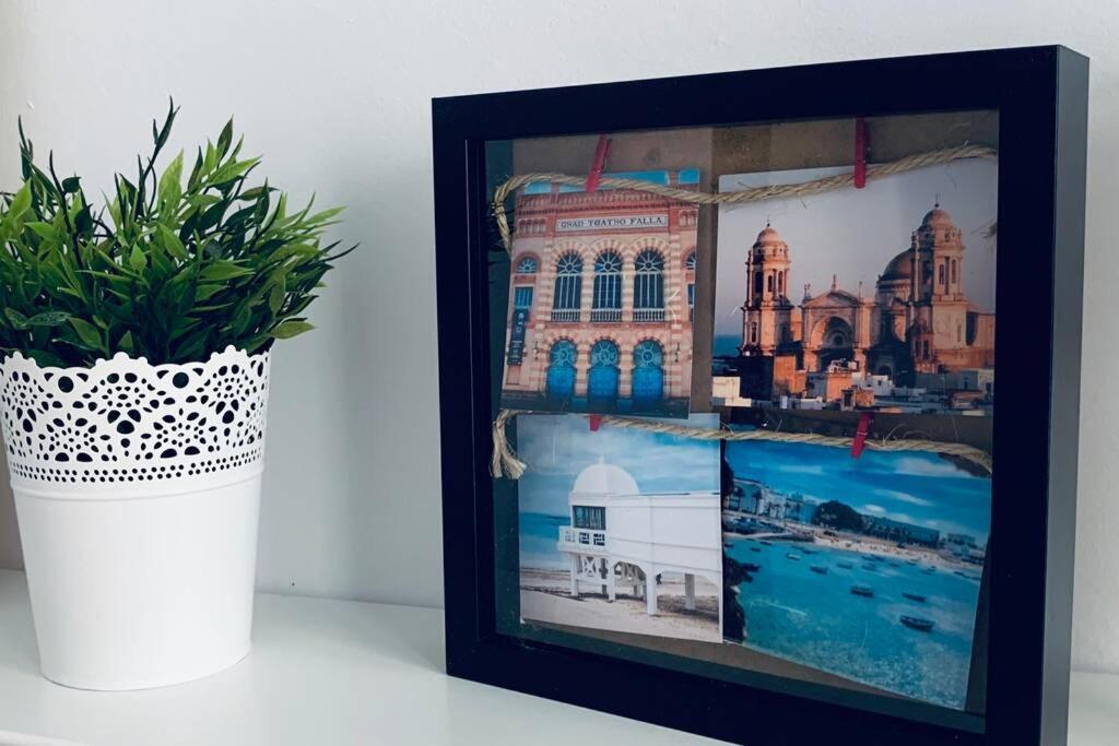 Apartamento de 1 dormitorio
