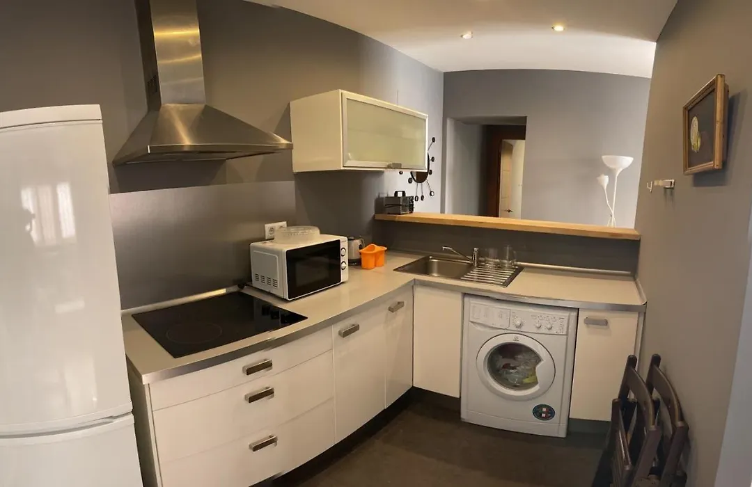 Apartamento Plaza Viuda-1