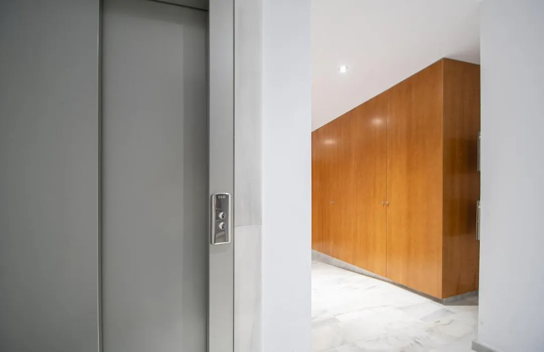Apartamento Animalia-1