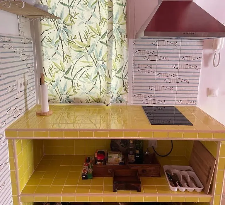 Apartamentos la Selva - Rafael de la Viesca-1