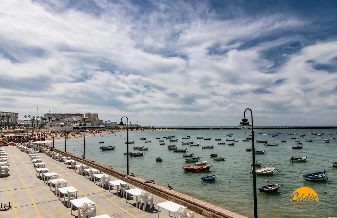 Flamenco Centro by Cadiz Time-1