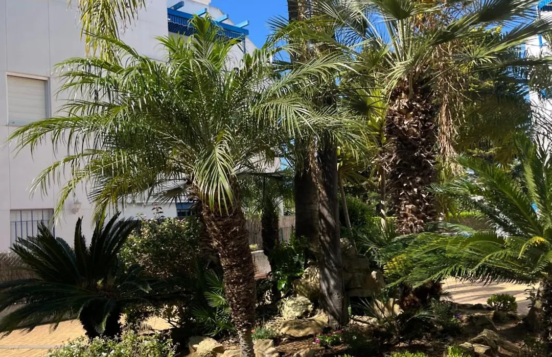 Apartamento en Costa Ballena, Urb. Playa Ballena-1