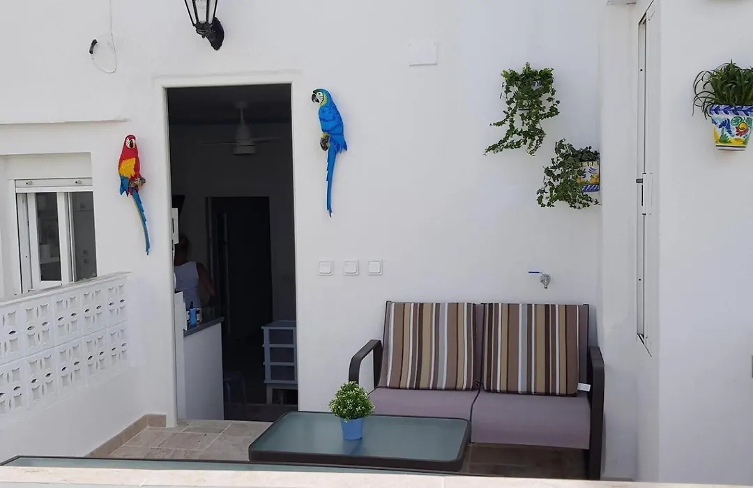 Cadizz - El Faro del Manteca - Terraza privada barrio de la Viña - La Caleta-1