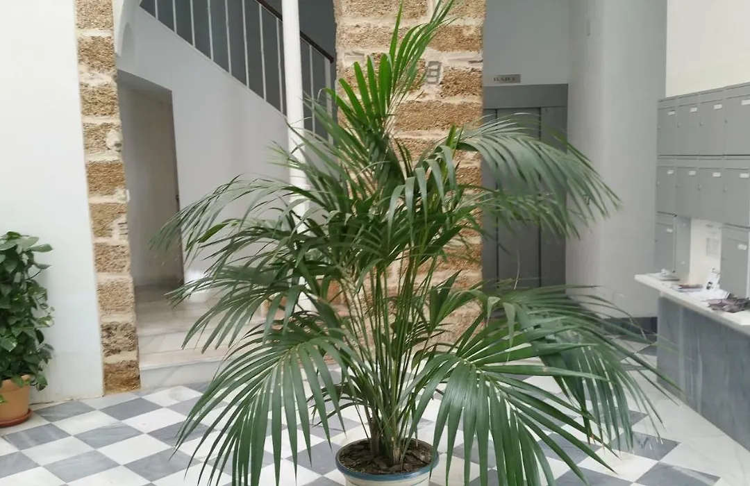 Apartamento San Felipe Neri-1