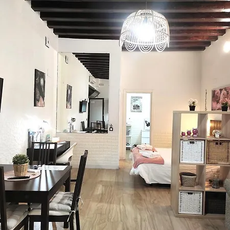 Apartamento Loft Puerto de Gades-2