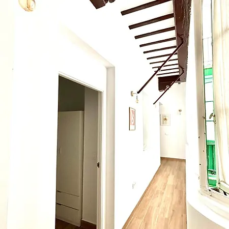 Tía Norica - Centro Cádiz-2