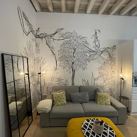 Cádiz Paz-2