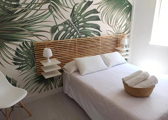 Apartamento Viña 41 Cádiz