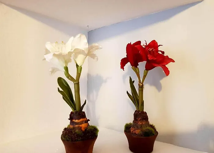 Apartamento Cortadura Beach Cádiz