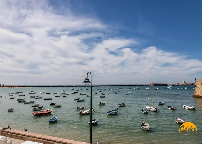 Estudio Gaviota by Cadiz Time