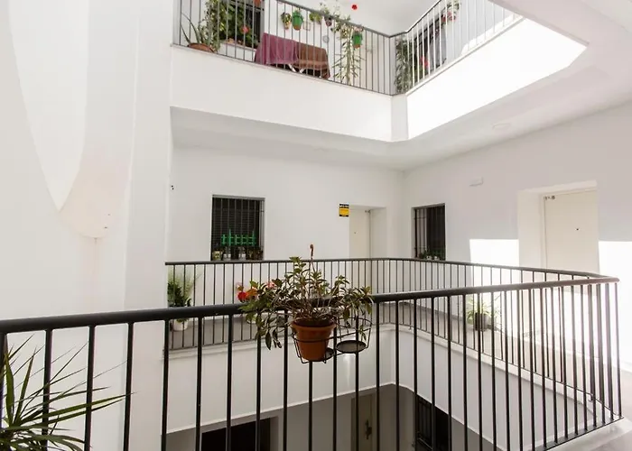 Pitusa Home Cádiz