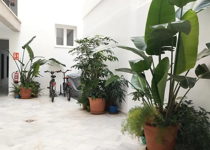 Apartamento Entrearcos Cádiz