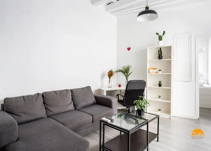 Apartamento Flamenco Centro by Cadiz Time