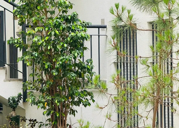 Bonito apartamento junto al Gran Teatro Falla Cádiz