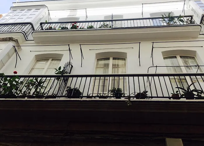 Ático Falla Cádiz
